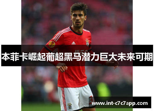 本菲卡崛起葡超黑马潜力巨大未来可期
