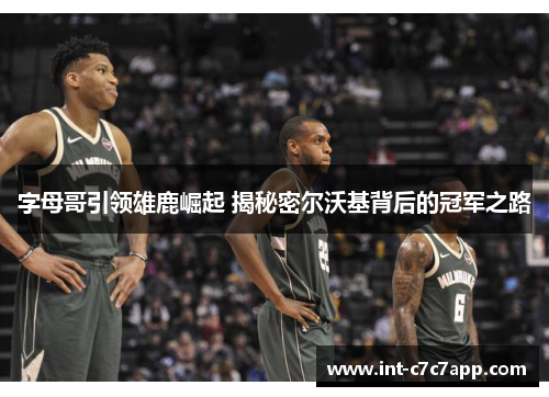 字母哥引领雄鹿崛起 揭秘密尔沃基背后的冠军之路